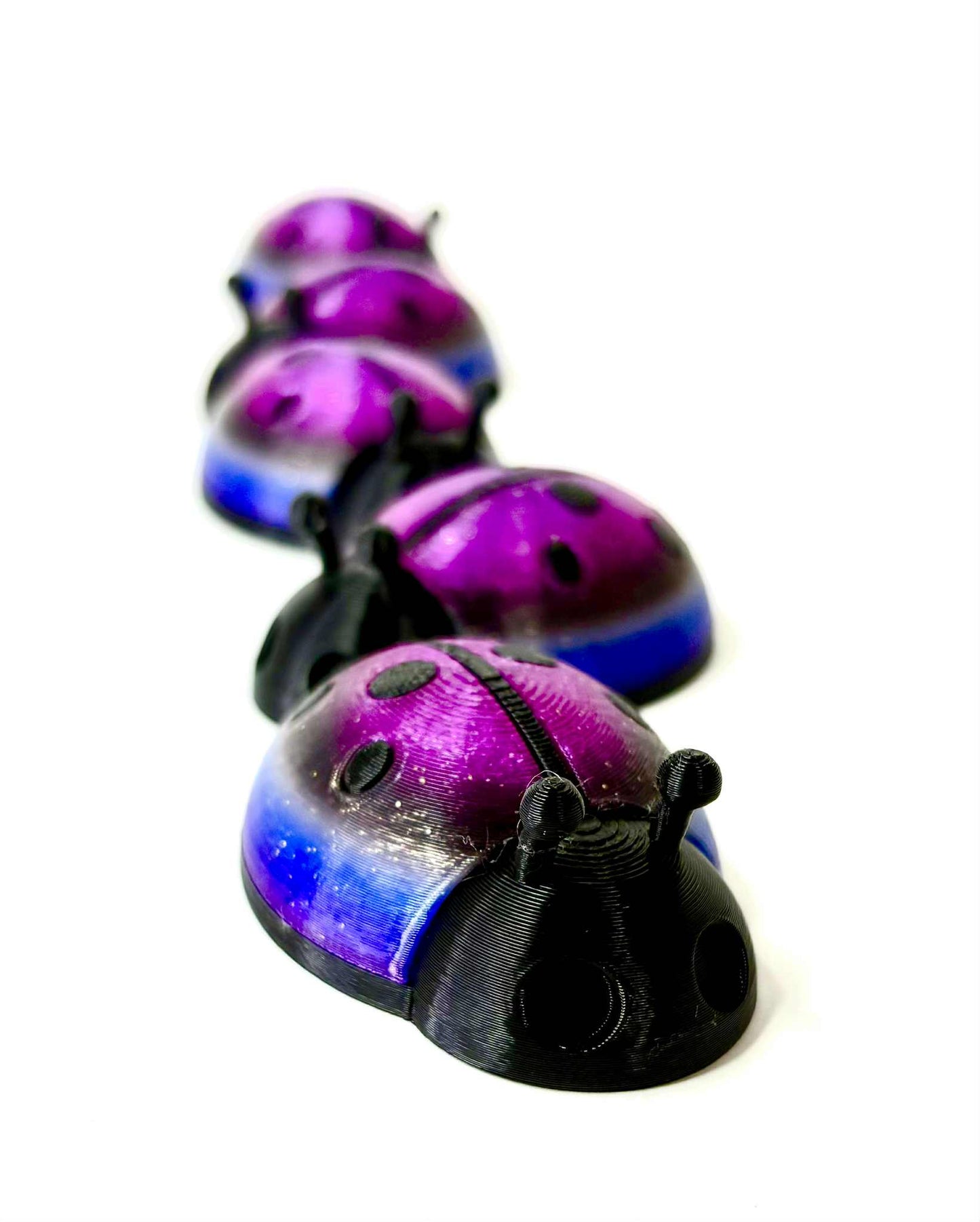 5 unique ladybugs for bugging