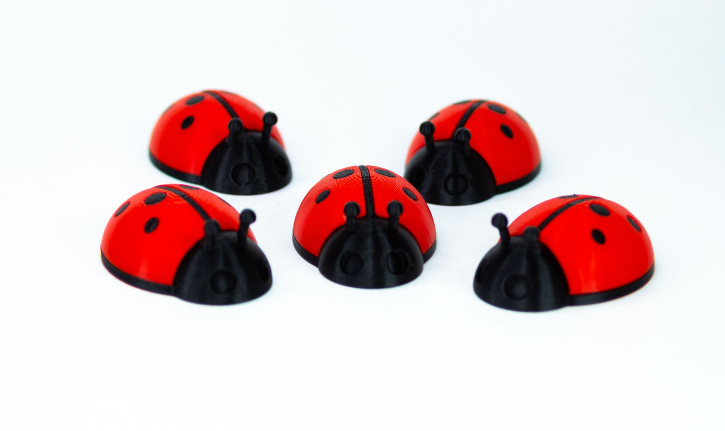 5 Ladybugs for bugging