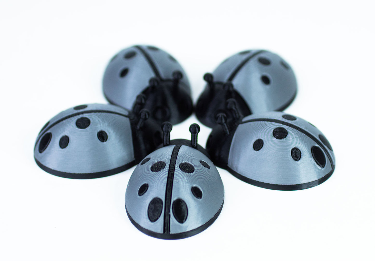 5 Ladybugs for bugging