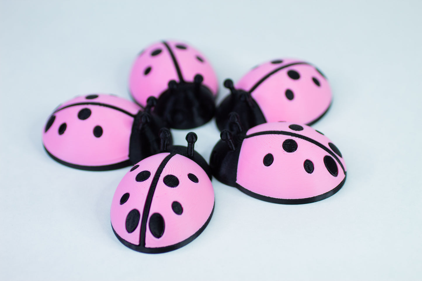 5 Ladybugs for bugging