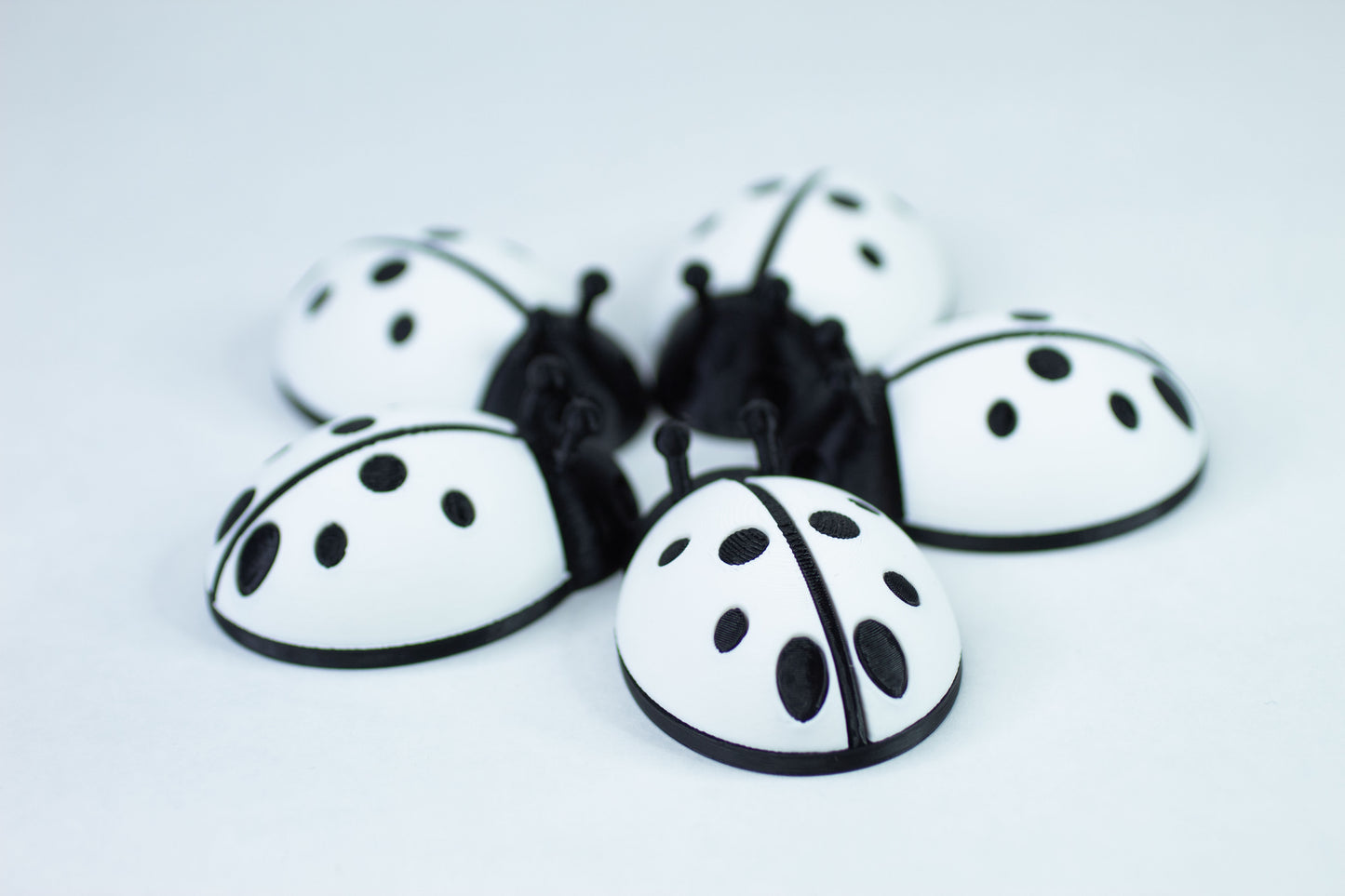 5 Ladybugs for bugging