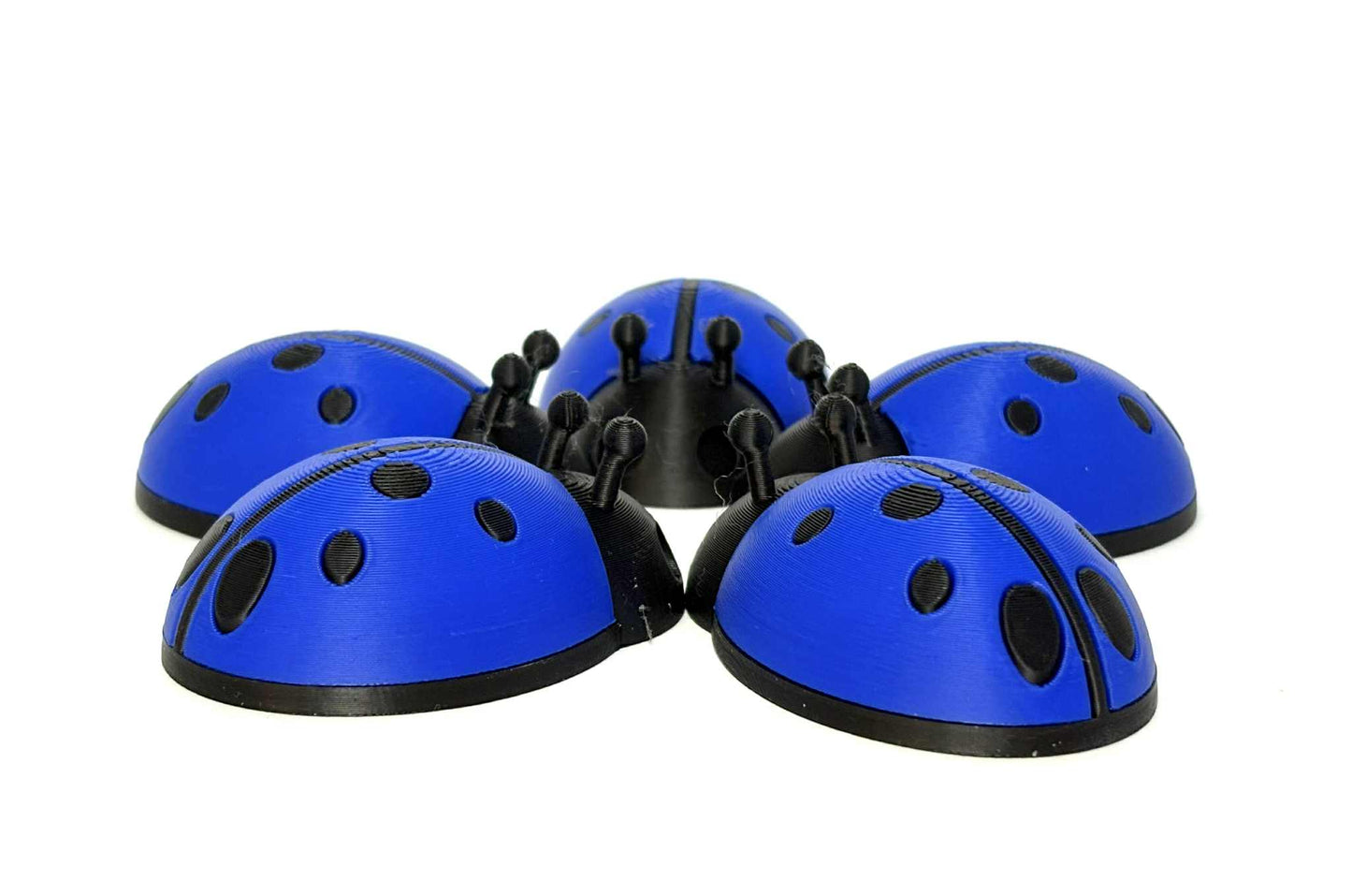 5 Ladybugs for bugging