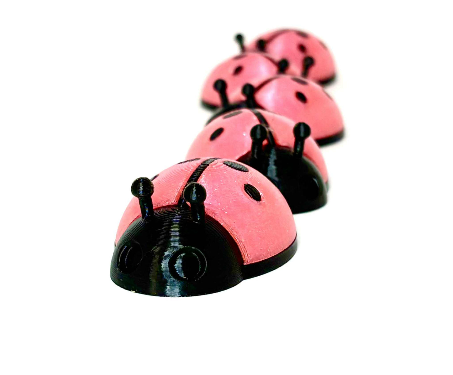 5 unique ladybugs for bugging