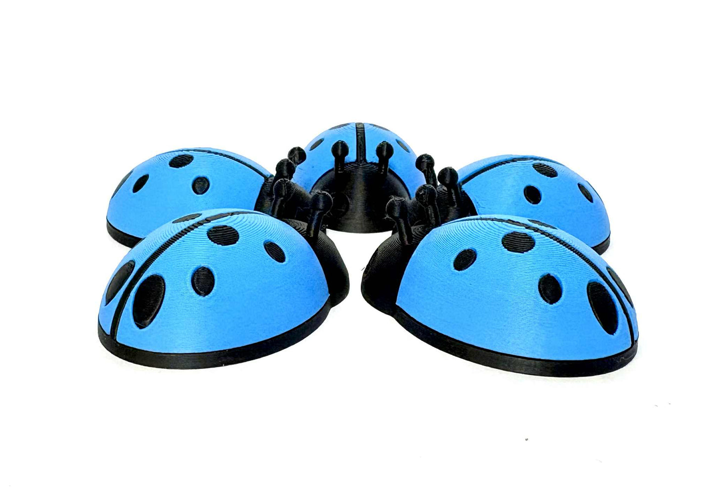 5 Ladybugs for bugging