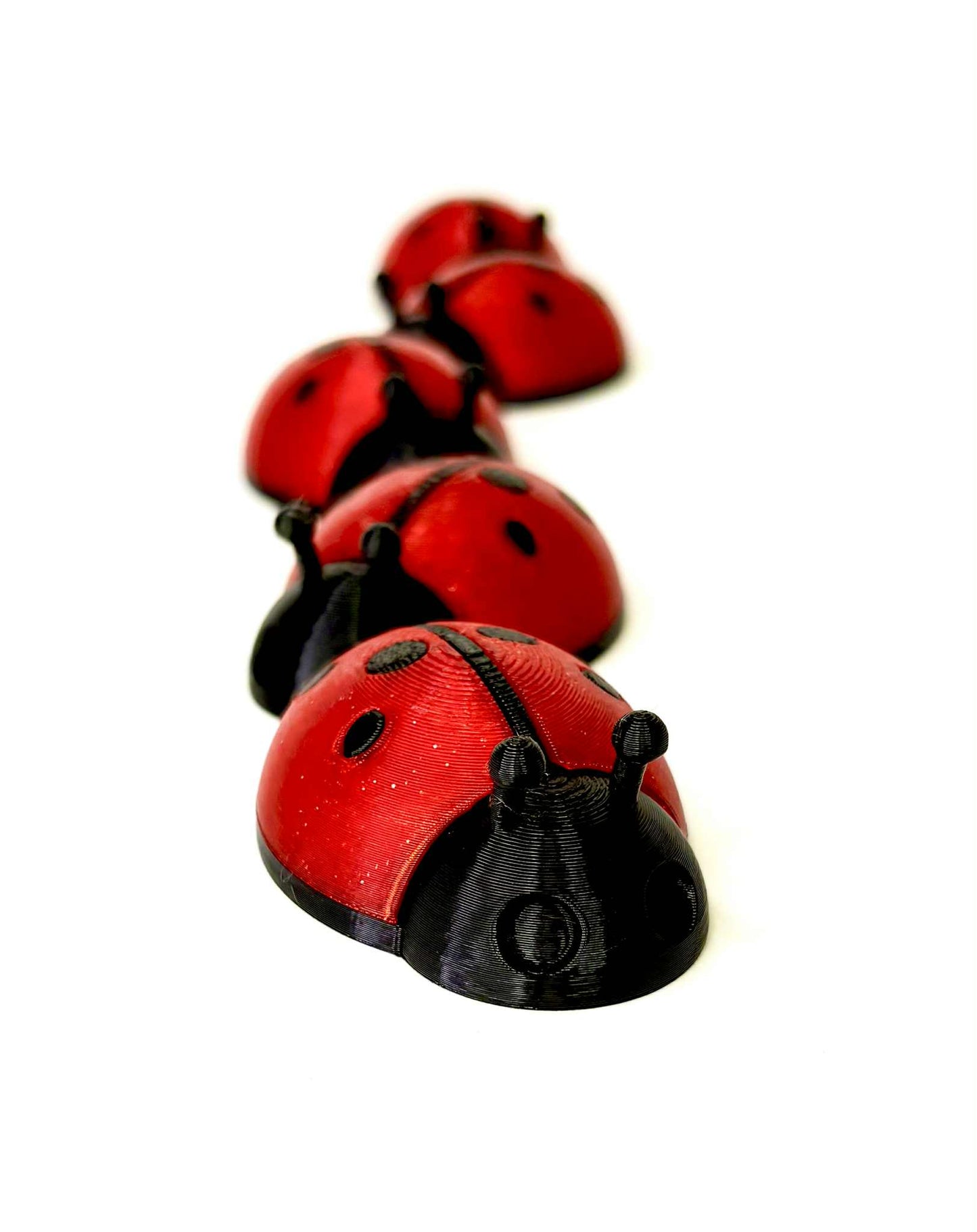 5 unique ladybugs for bugging