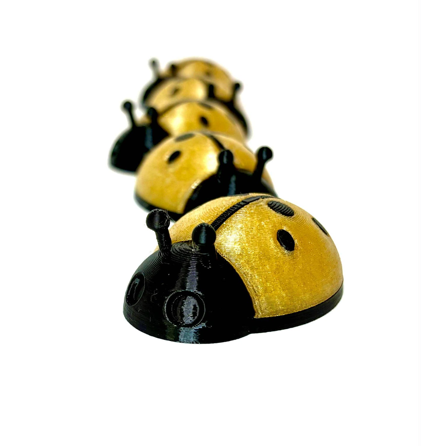 5 unique ladybugs for bugging
