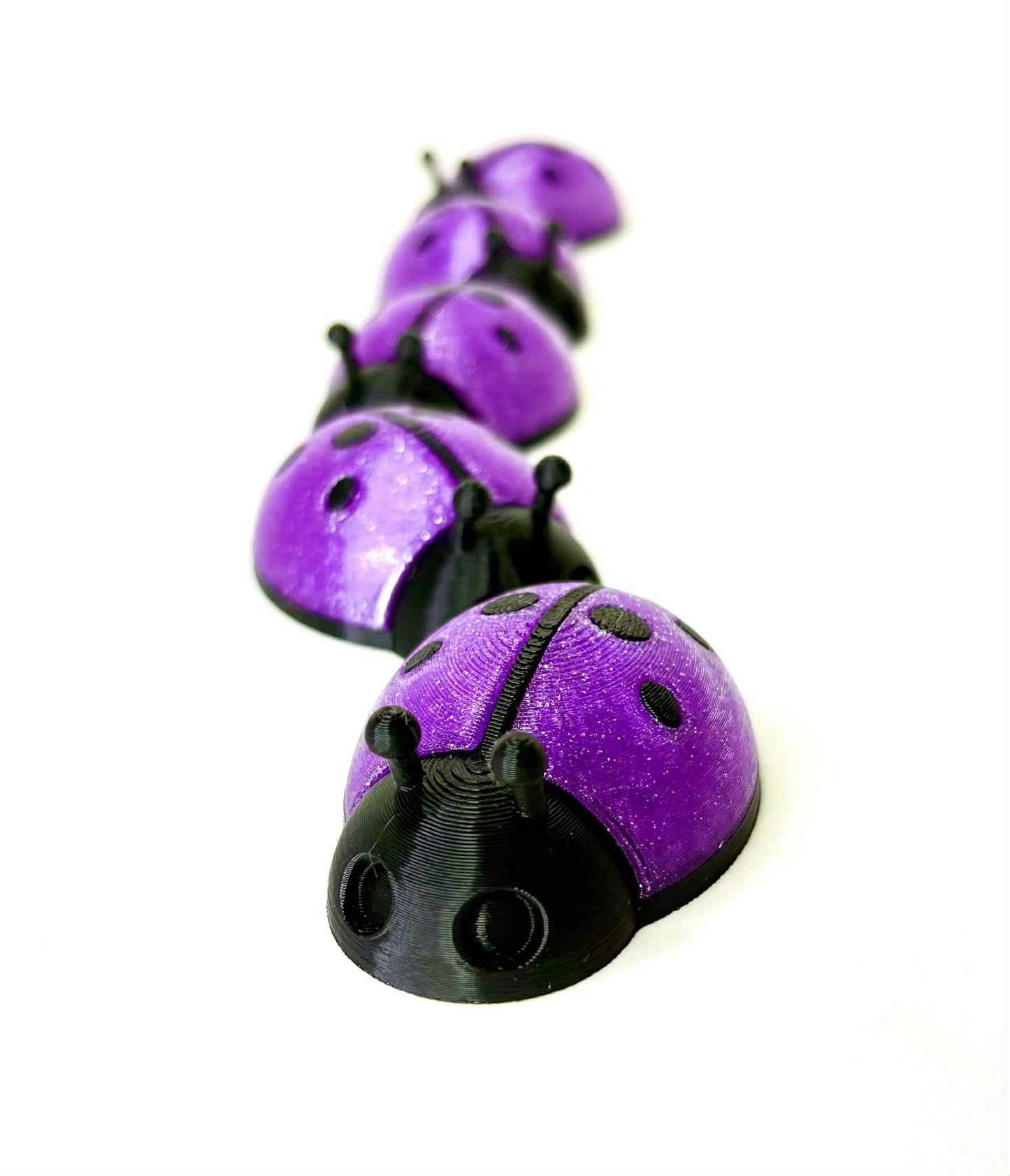 5 unique ladybugs for bugging