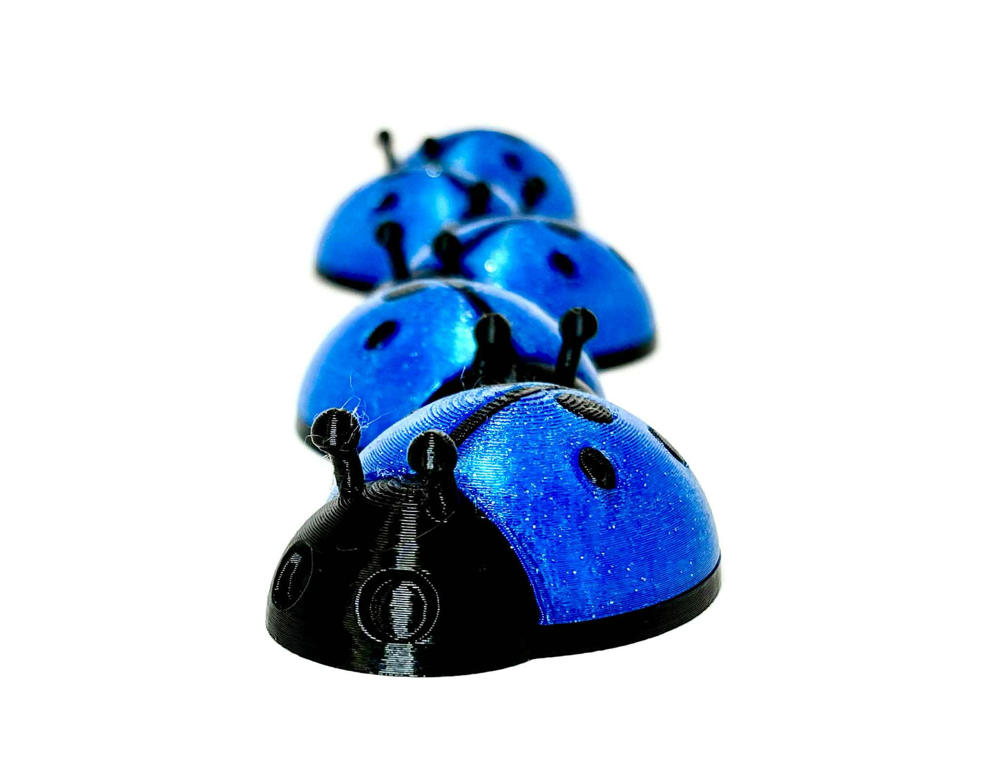 5 unique ladybugs for bugging