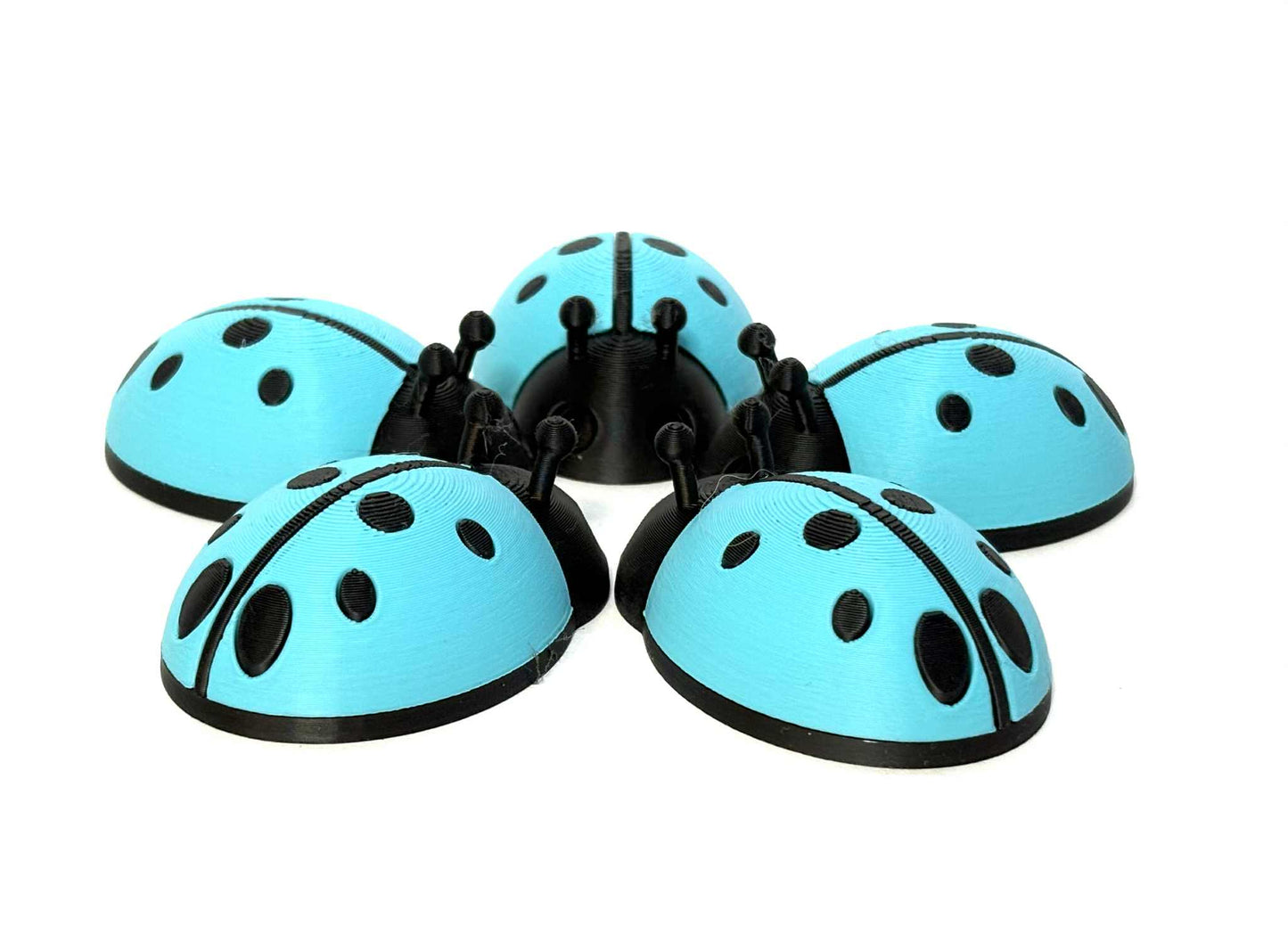 5 Ladybugs for bugging