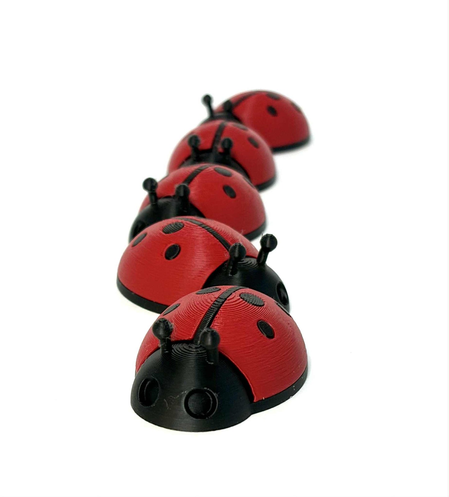 5 Ladybugs for bugging