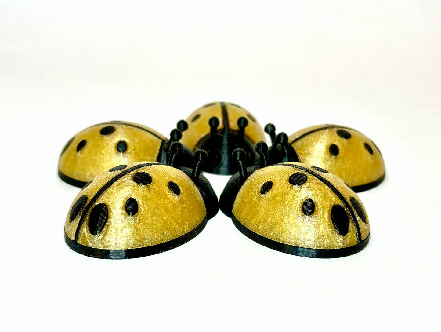 5 unique ladybugs for bugging