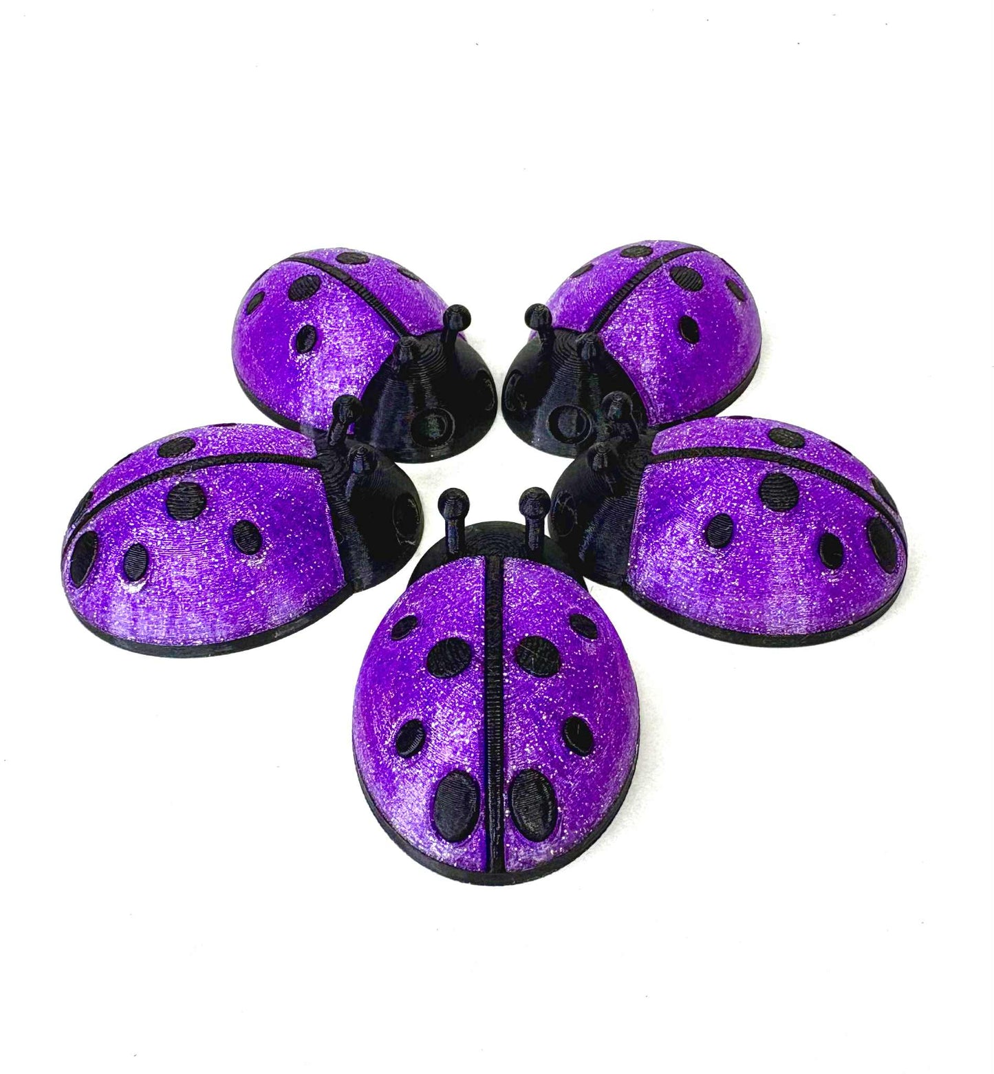 5 unique ladybugs for bugging