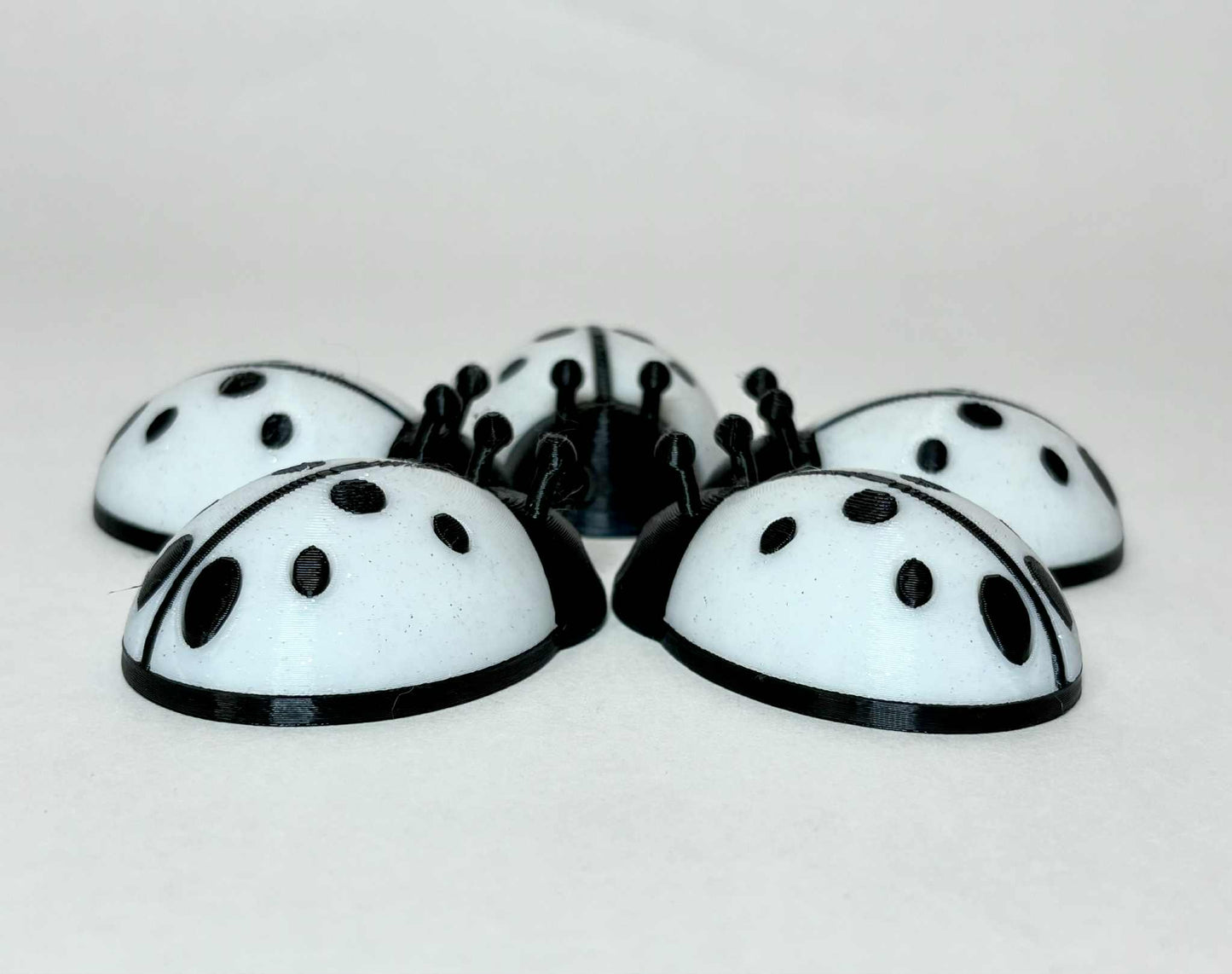 5 unique ladybugs for bugging
