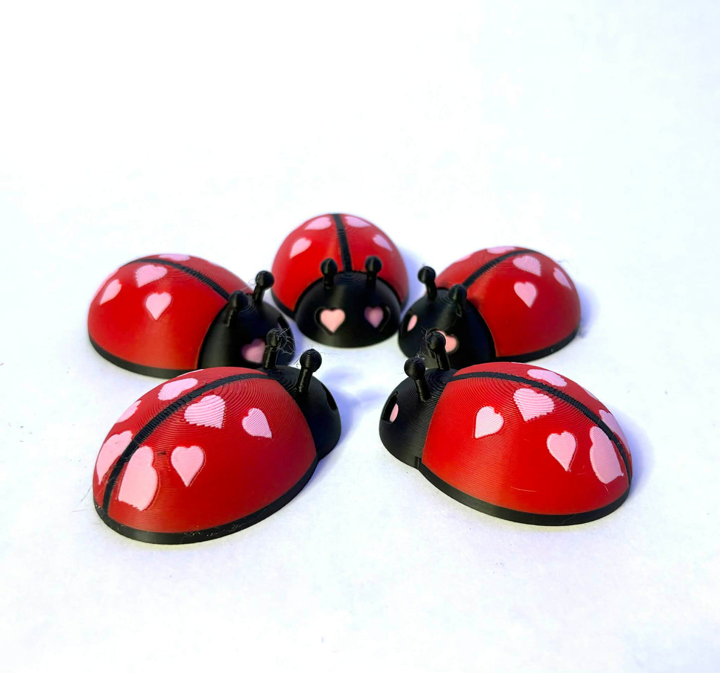 Valentine’s Day bug