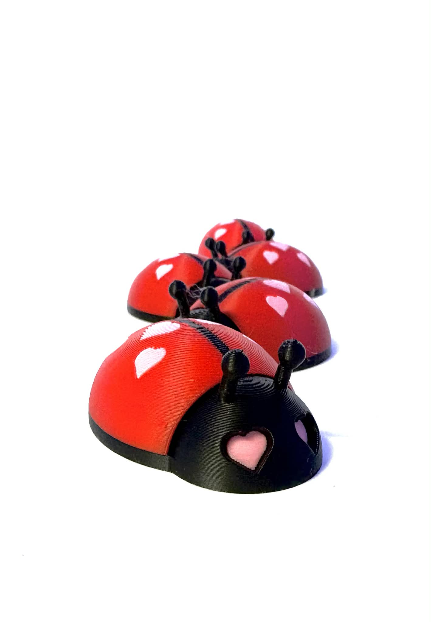 Valentine’s Day bug