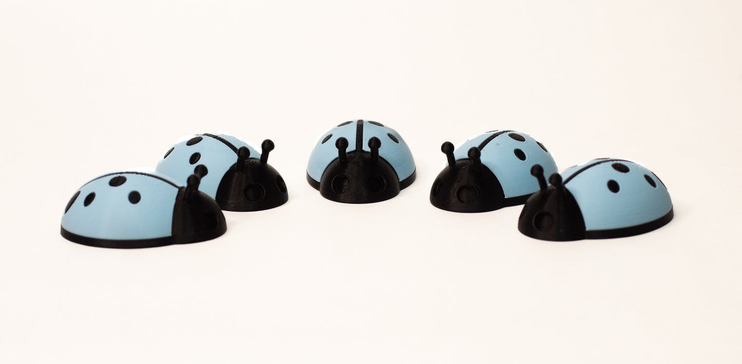 5 Ladybugs for bugging