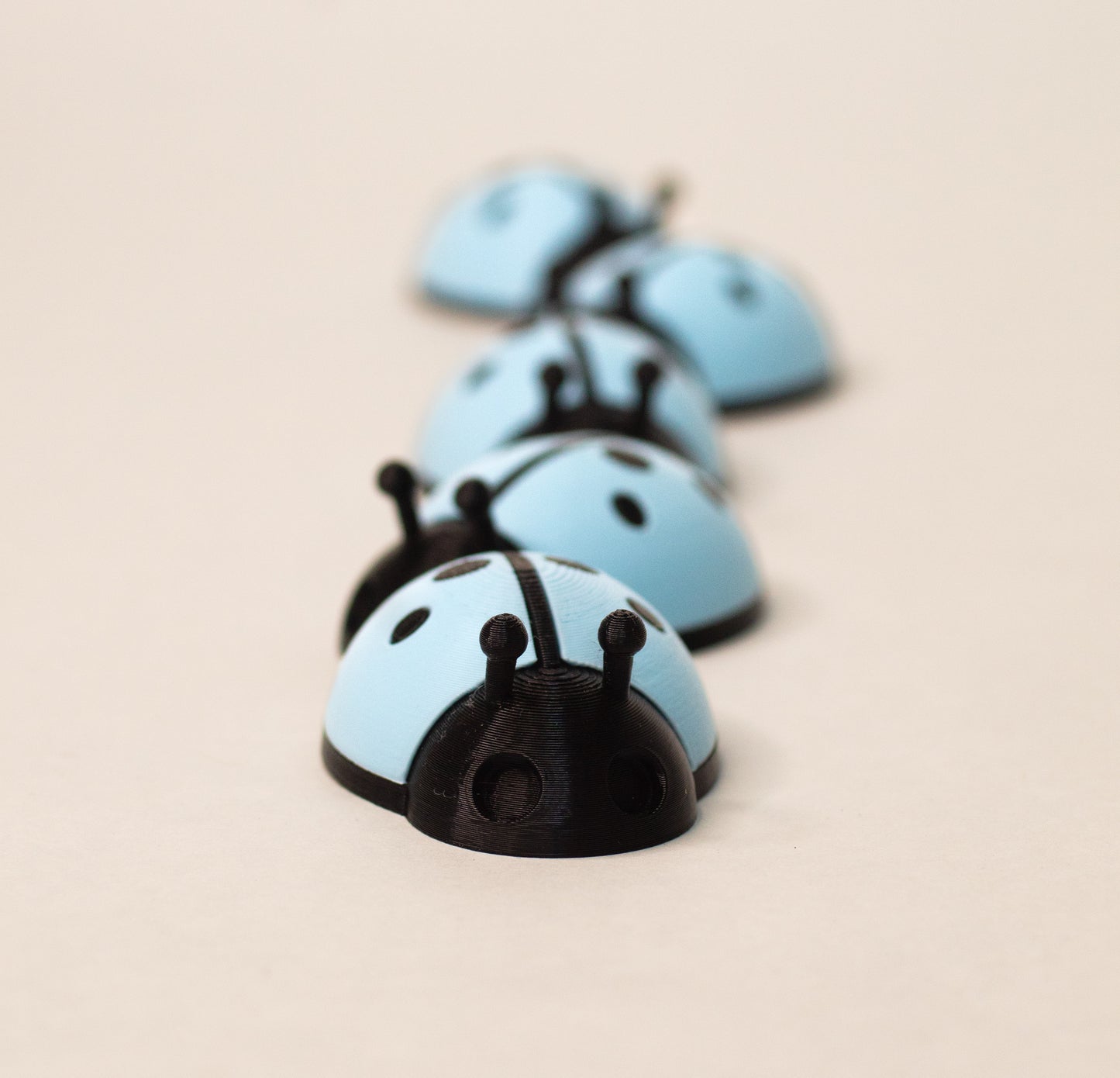 5 Ladybugs for bugging