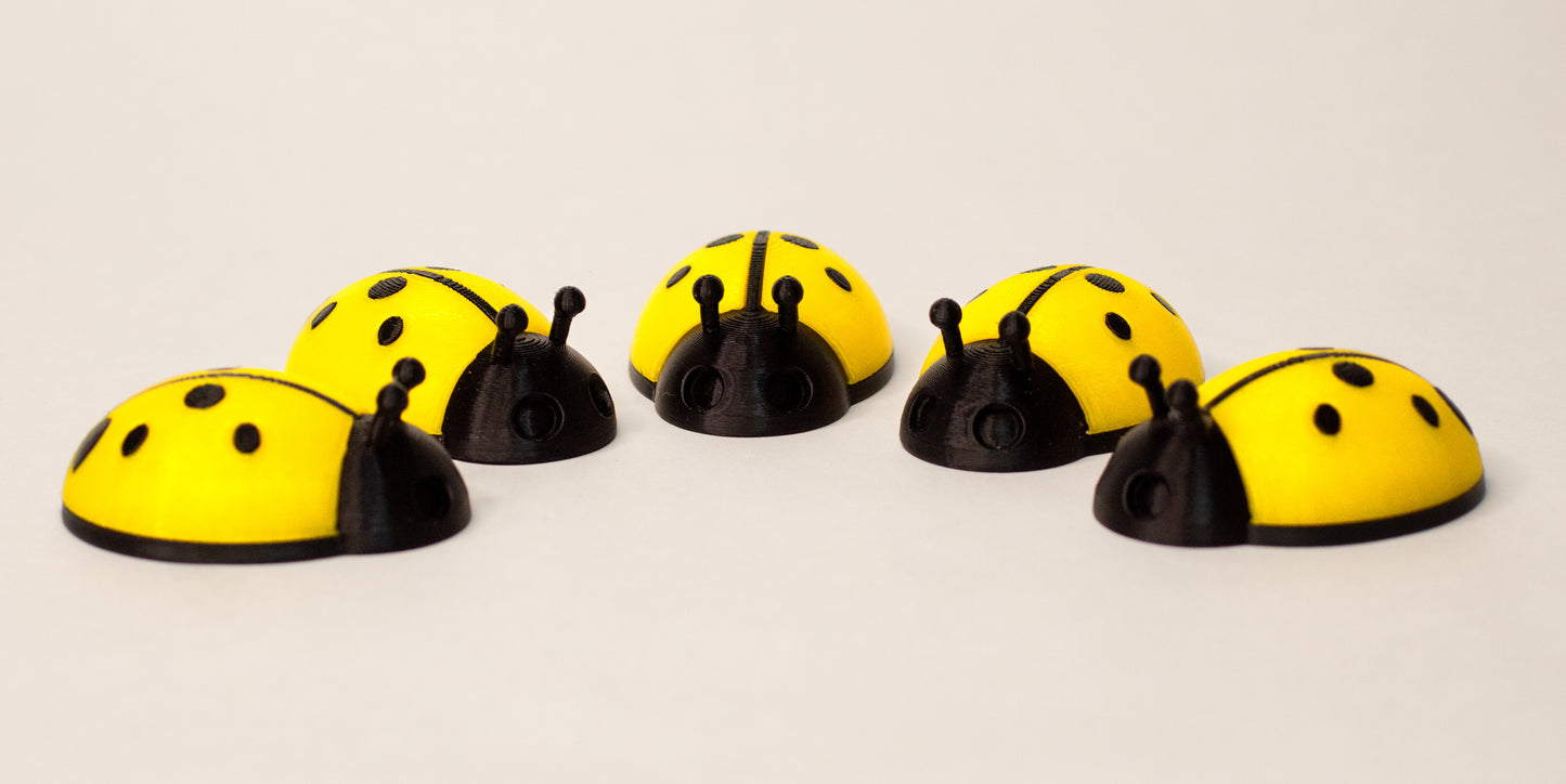 5 Ladybugs for bugging
