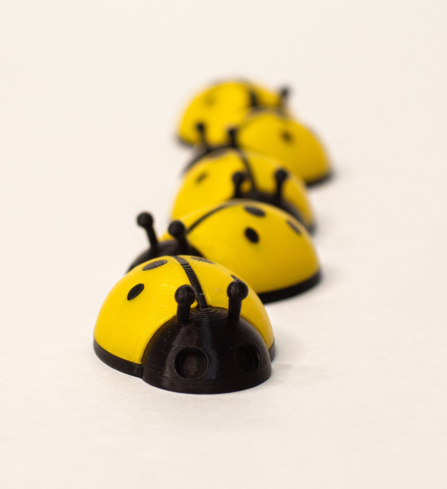 5 Ladybugs for bugging