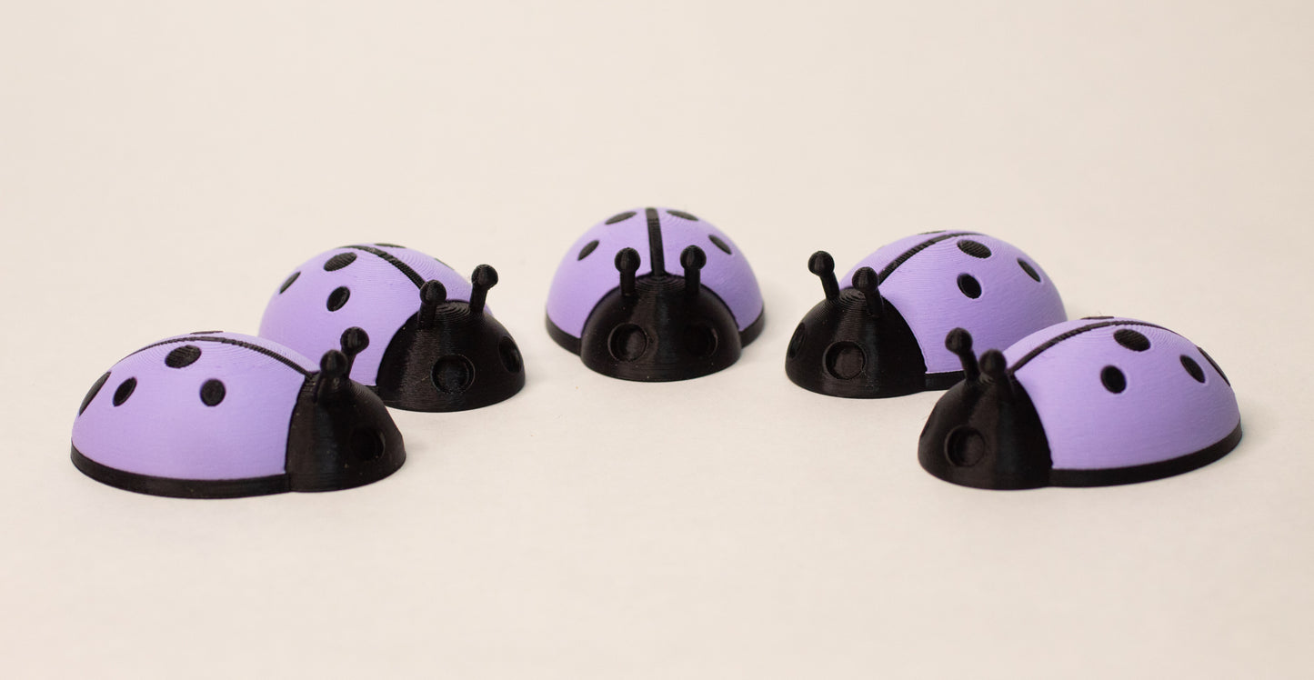 5 Ladybugs for bugging
