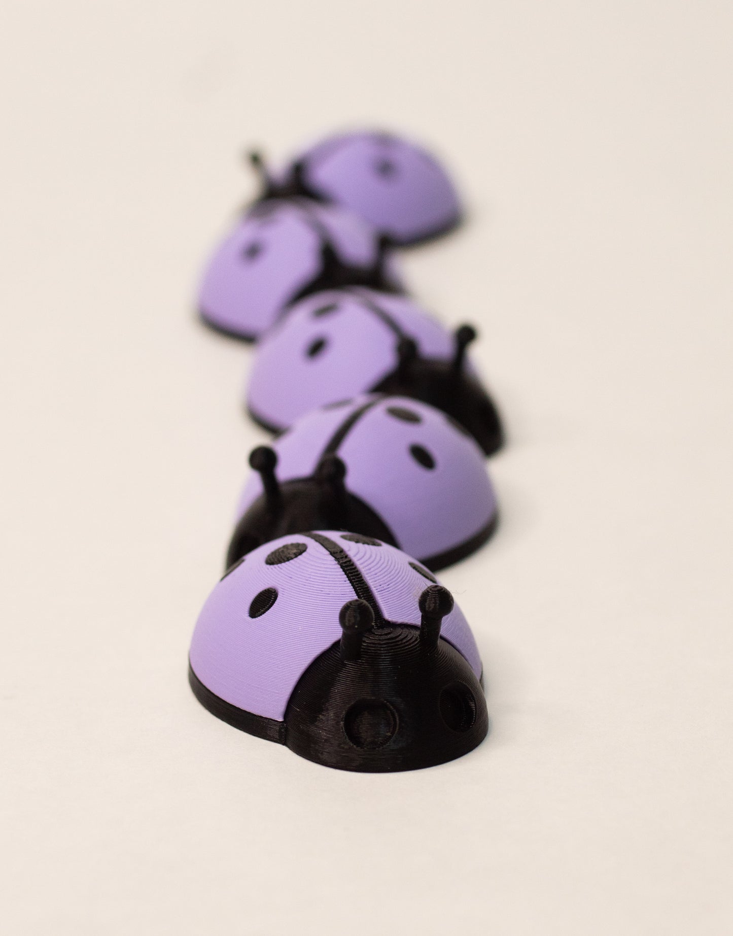 5 Ladybugs for bugging