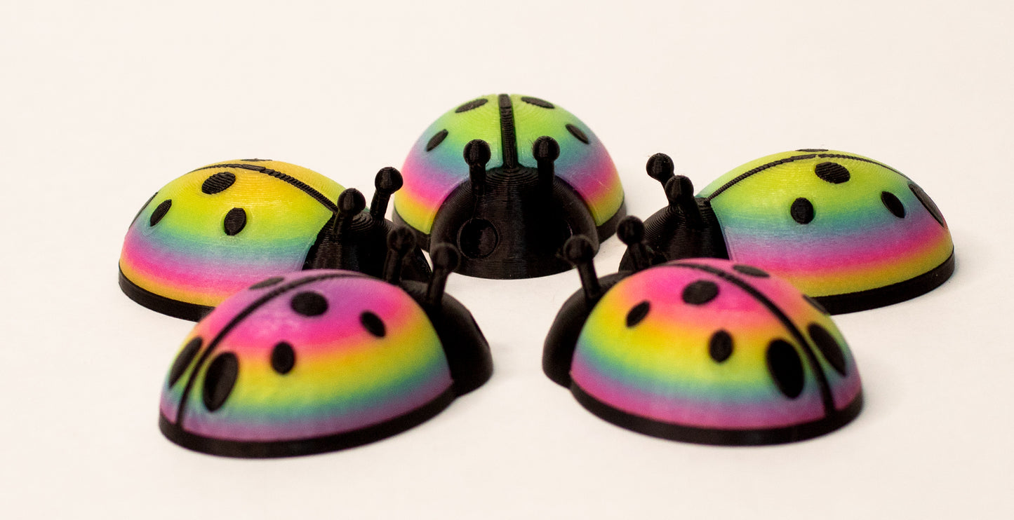 5 Limited ladybugs for bugging