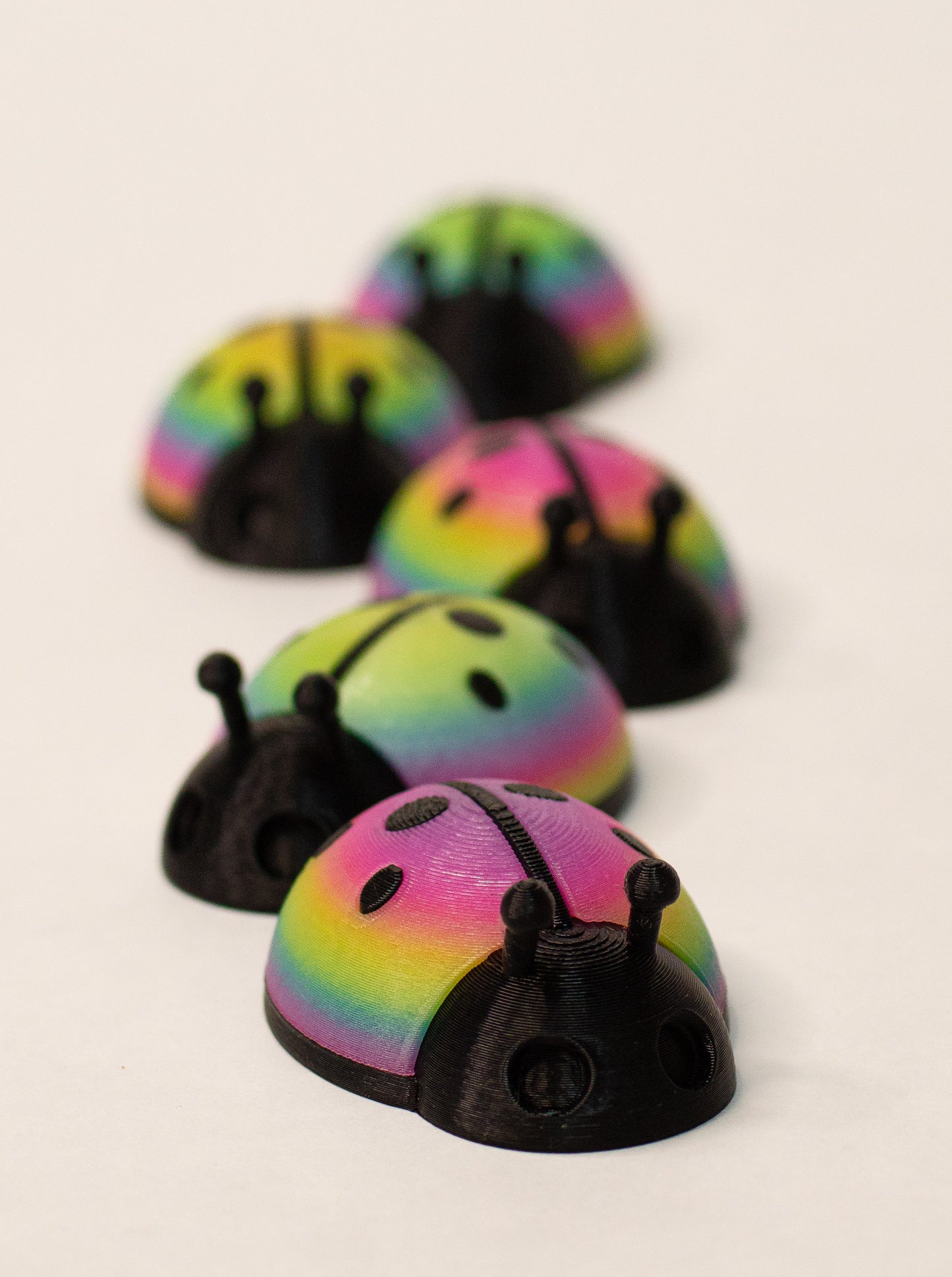 5 Limited ladybugs for bugging