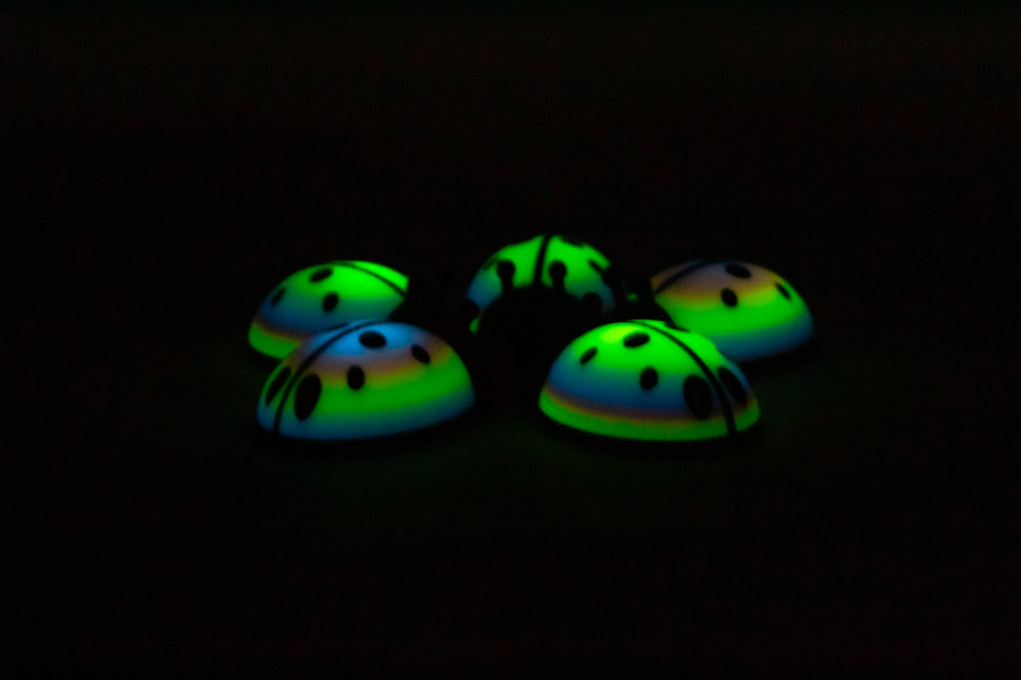 5 Limited ladybugs for bugging