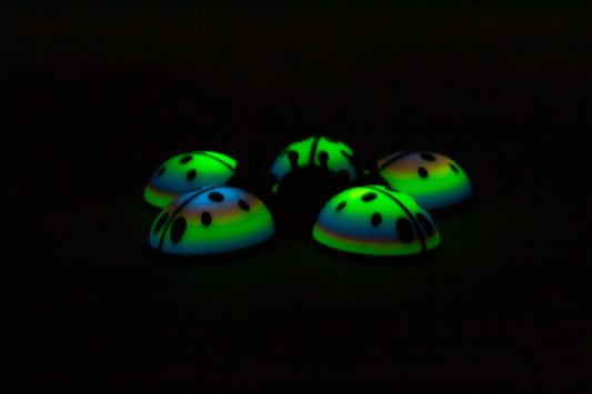 5 Limited ladybugs for bugging