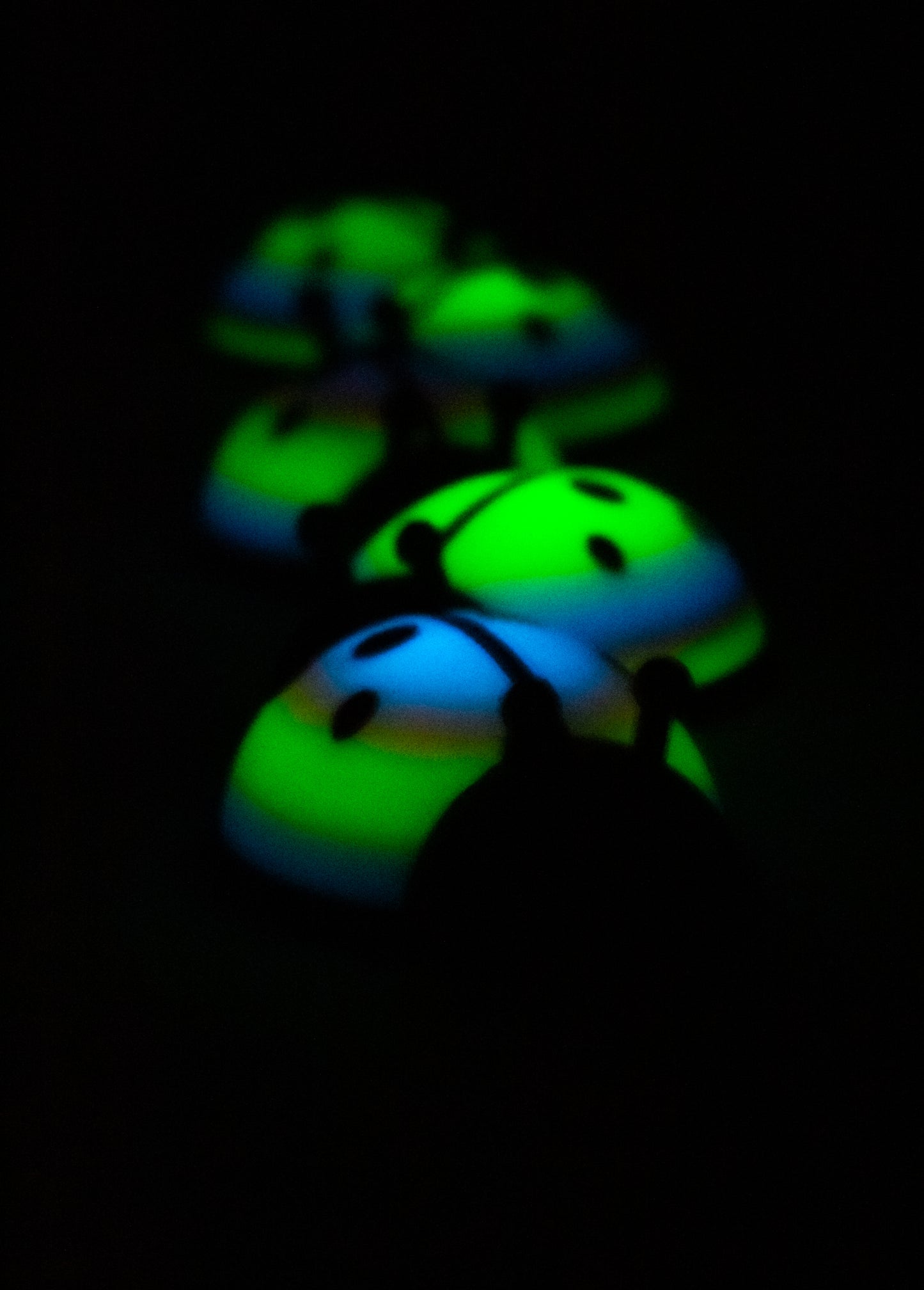 5 Limited ladybugs for bugging