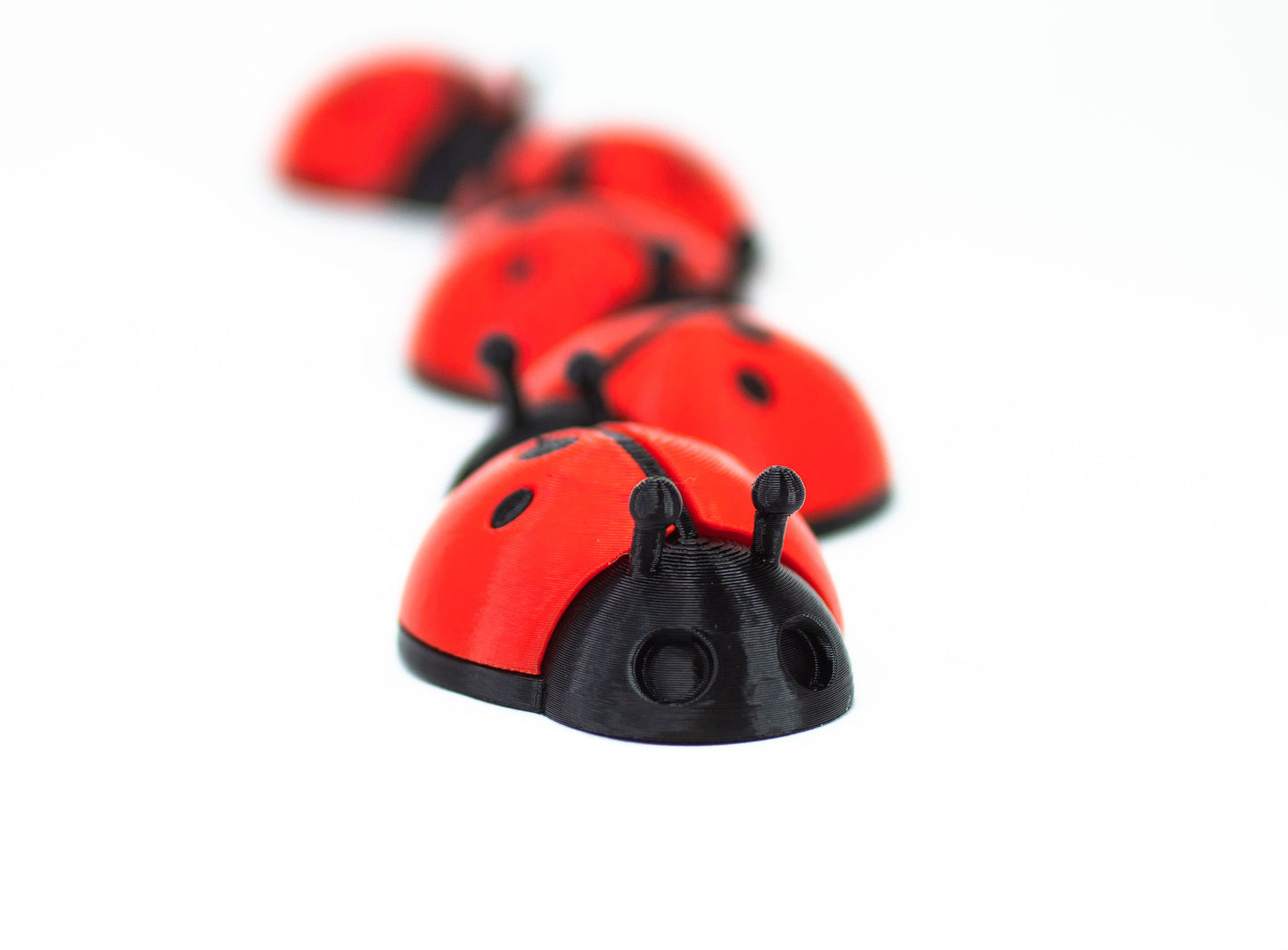 5 Ladybugs for bugging