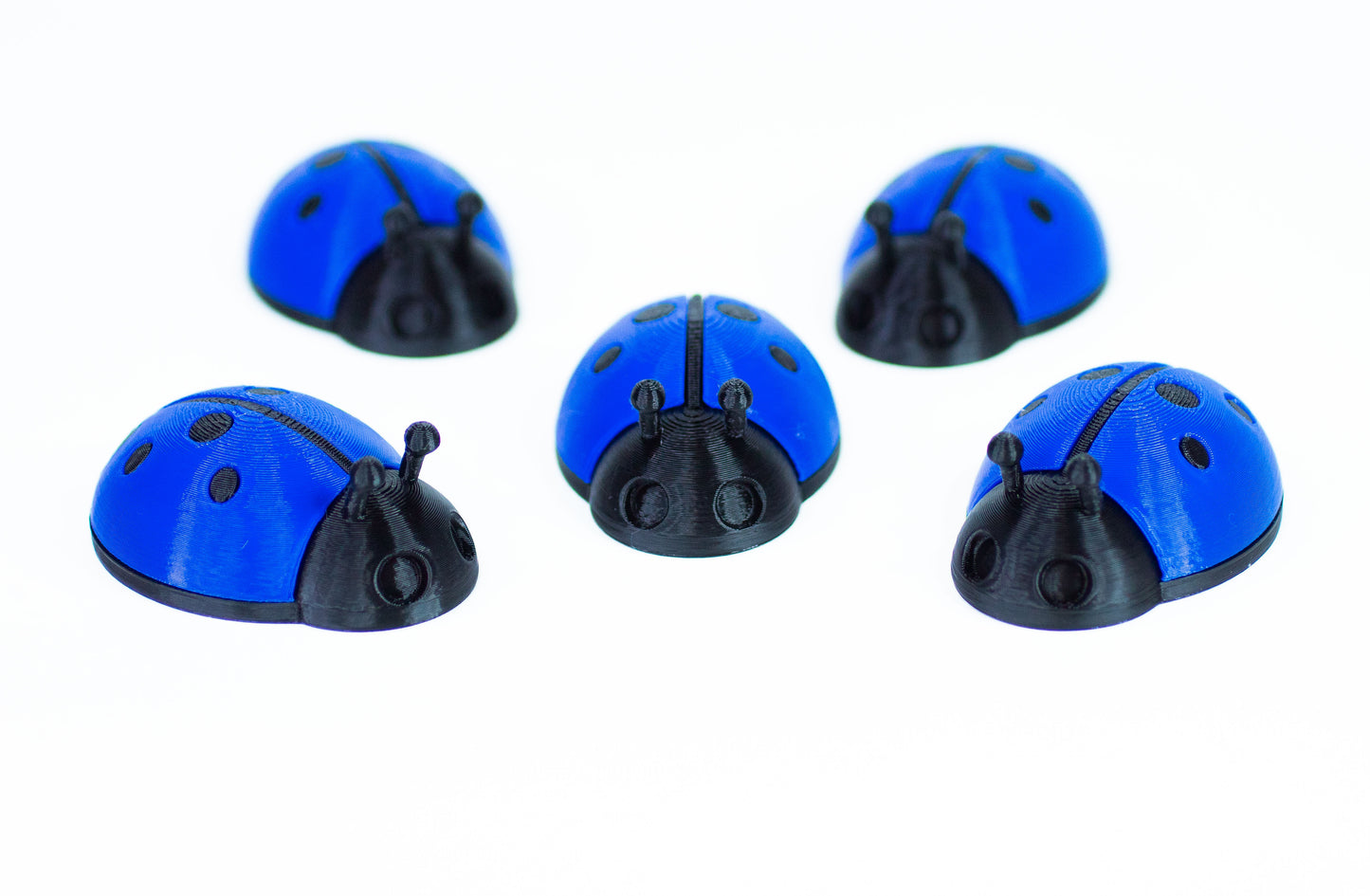 5 Ladybugs for bugging