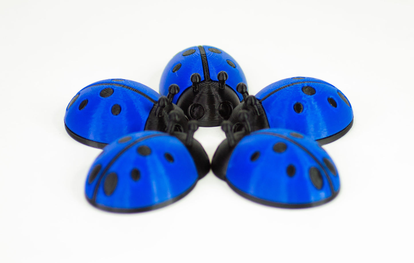 5 Ladybugs for bugging