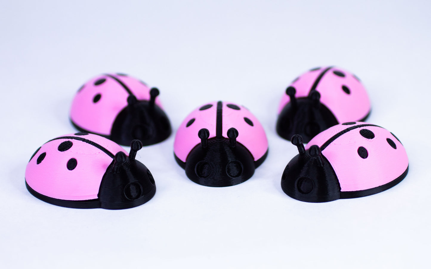 5 Ladybugs for bugging