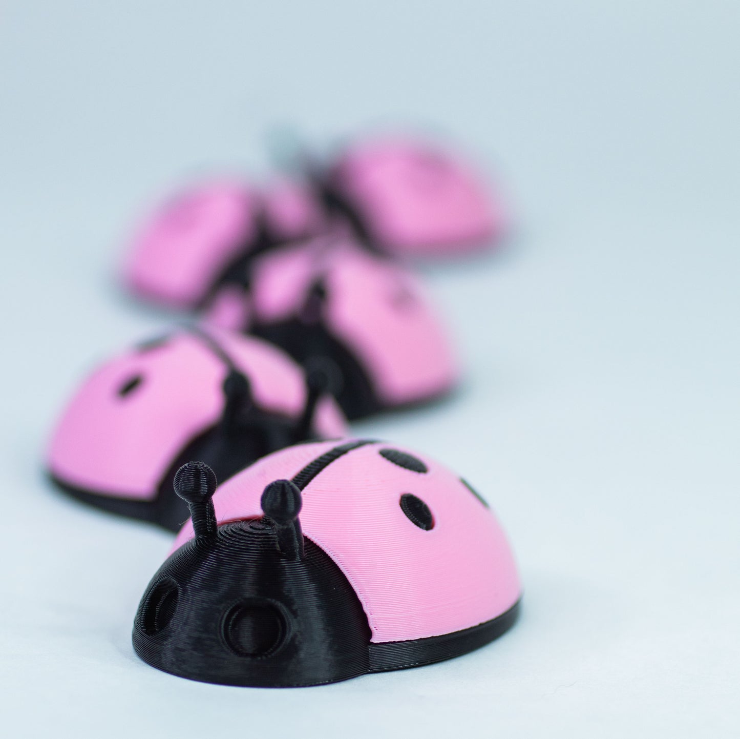 5 Ladybugs for bugging