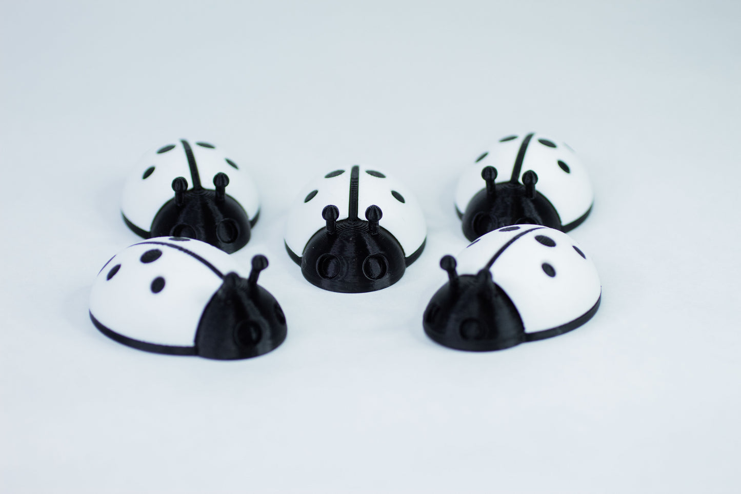 5 Ladybugs for bugging