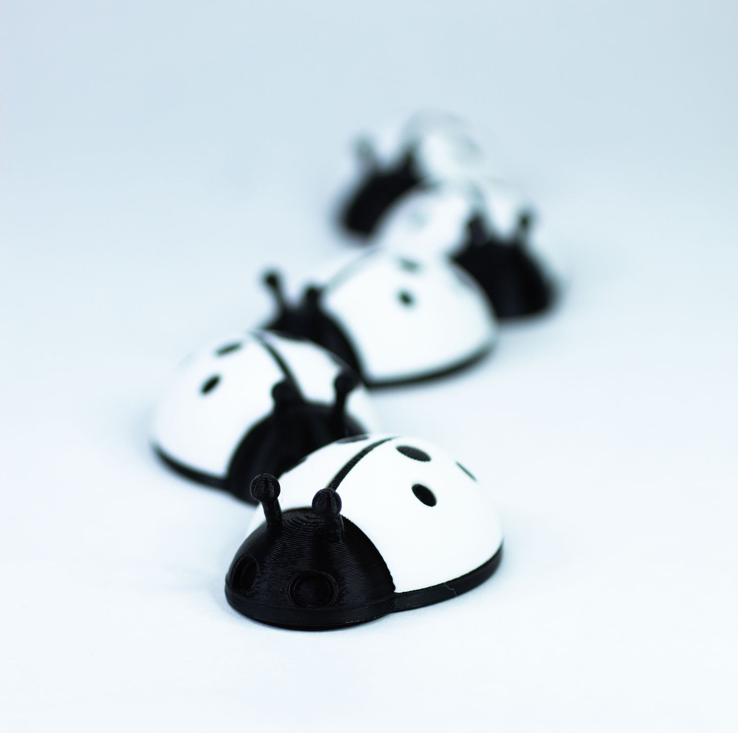 5 Ladybugs for bugging