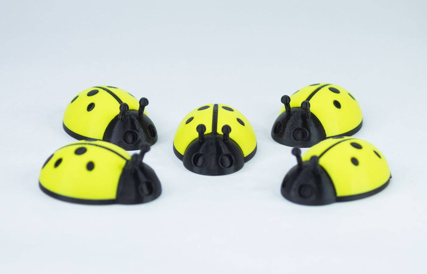 5 Ladybugs for bugging
