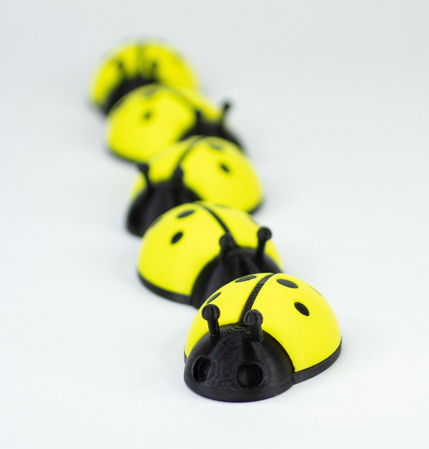 5 Ladybugs for bugging