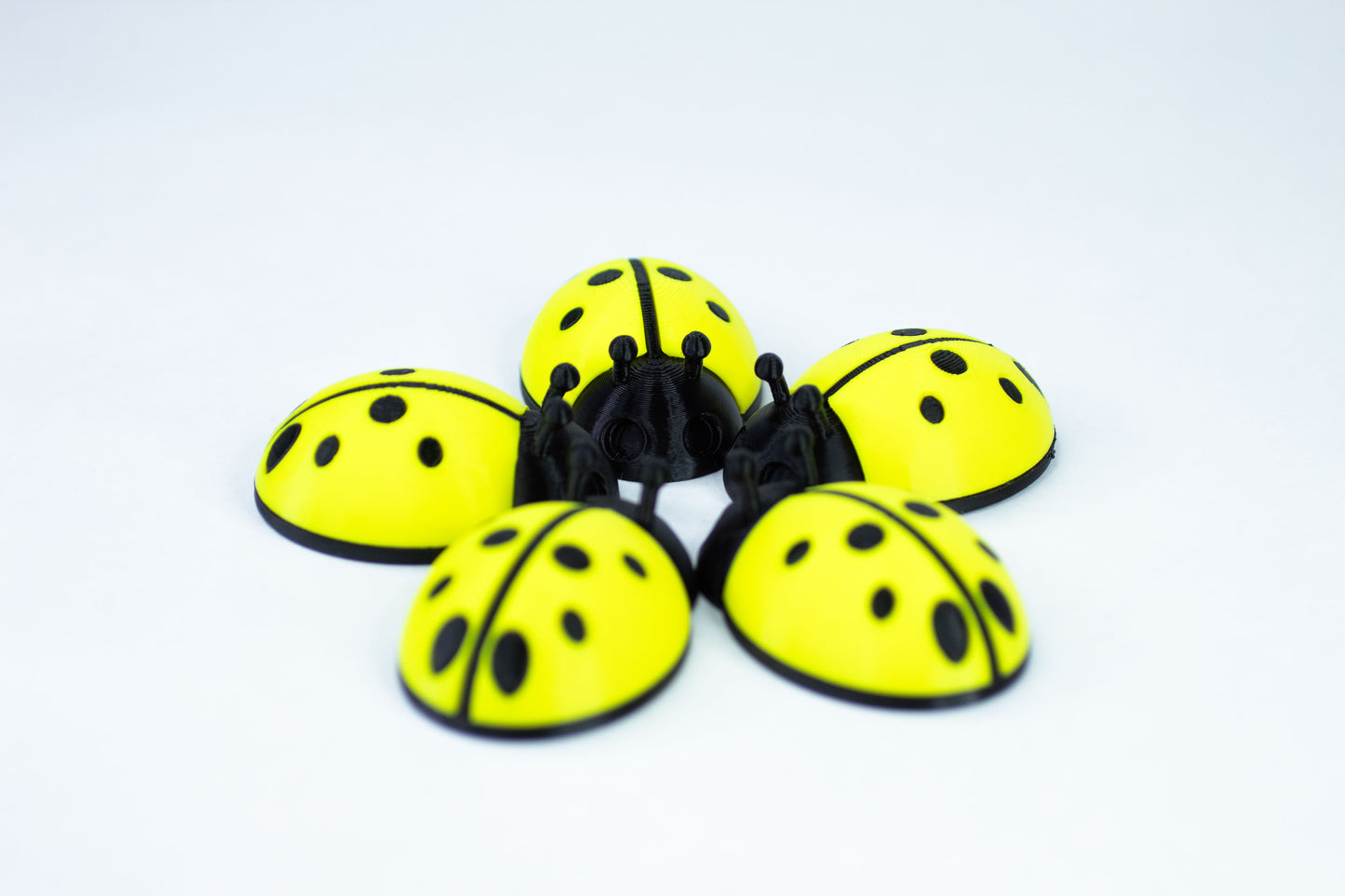 5 Ladybugs for bugging