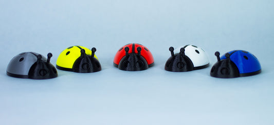 5 Ladybugs for bugging