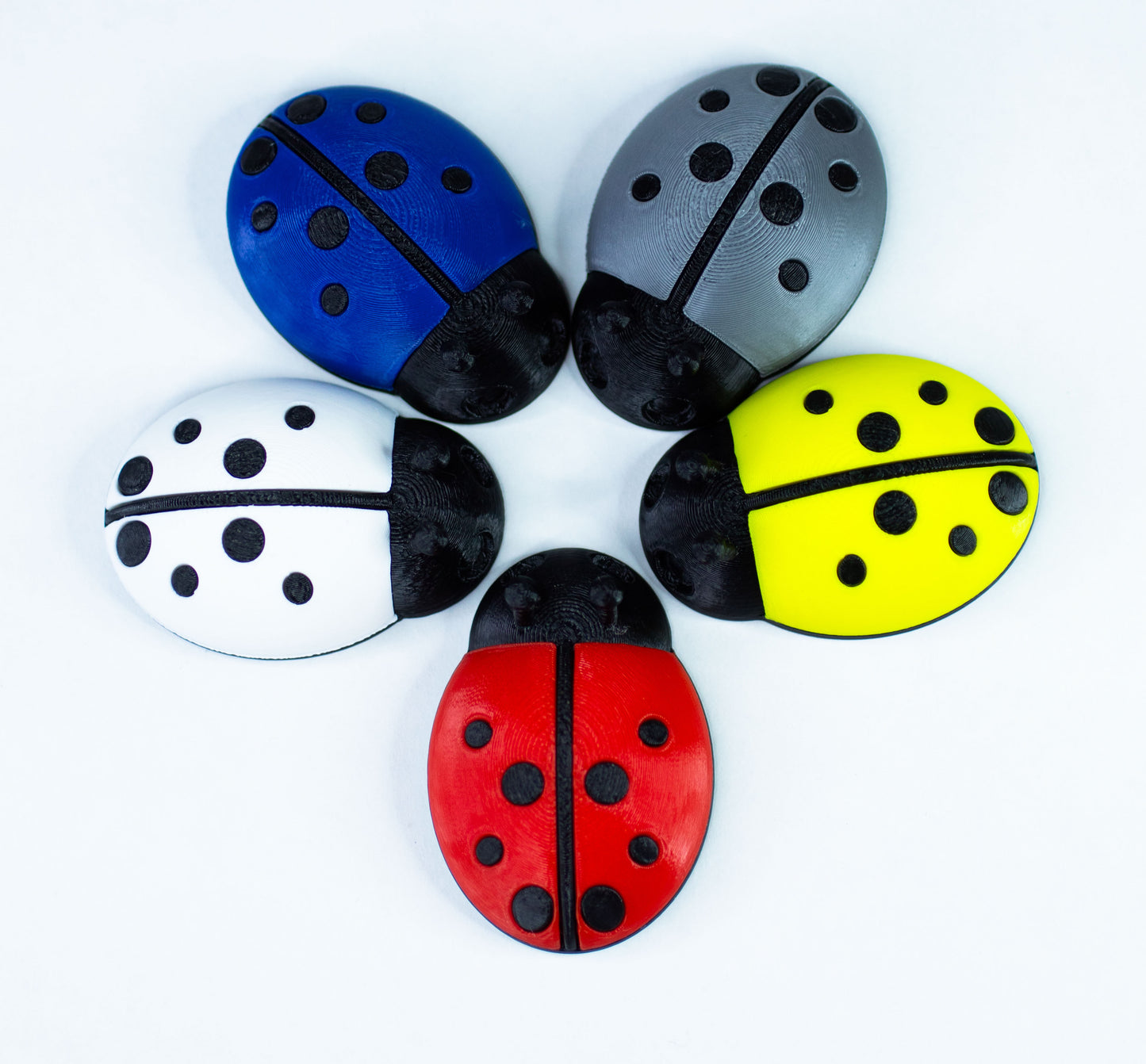 5 Ladybugs for bugging
