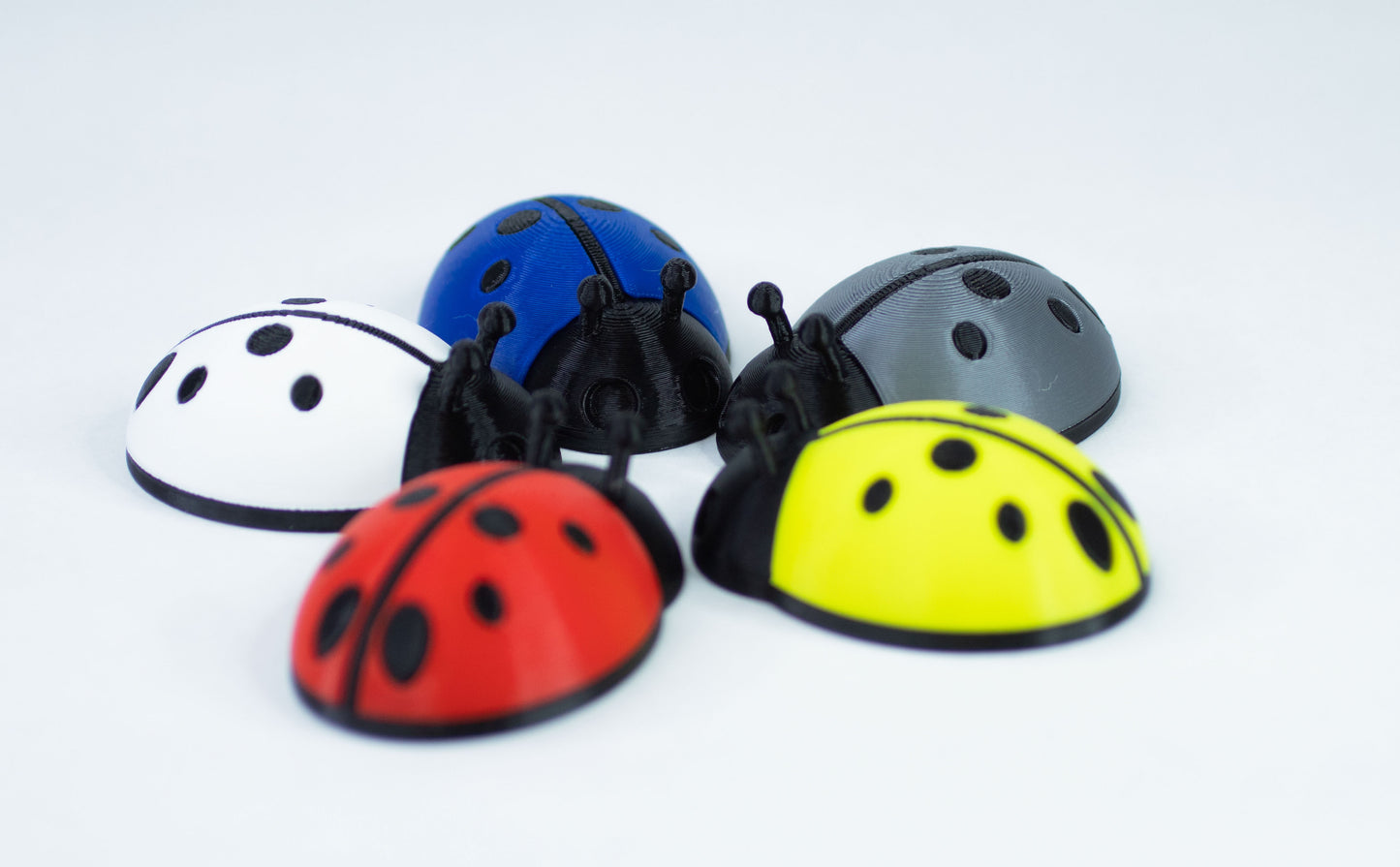 5 Ladybugs for bugging