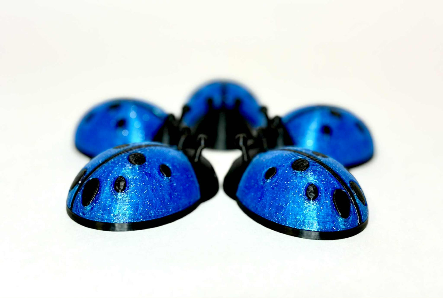 5 unique ladybugs for bugging