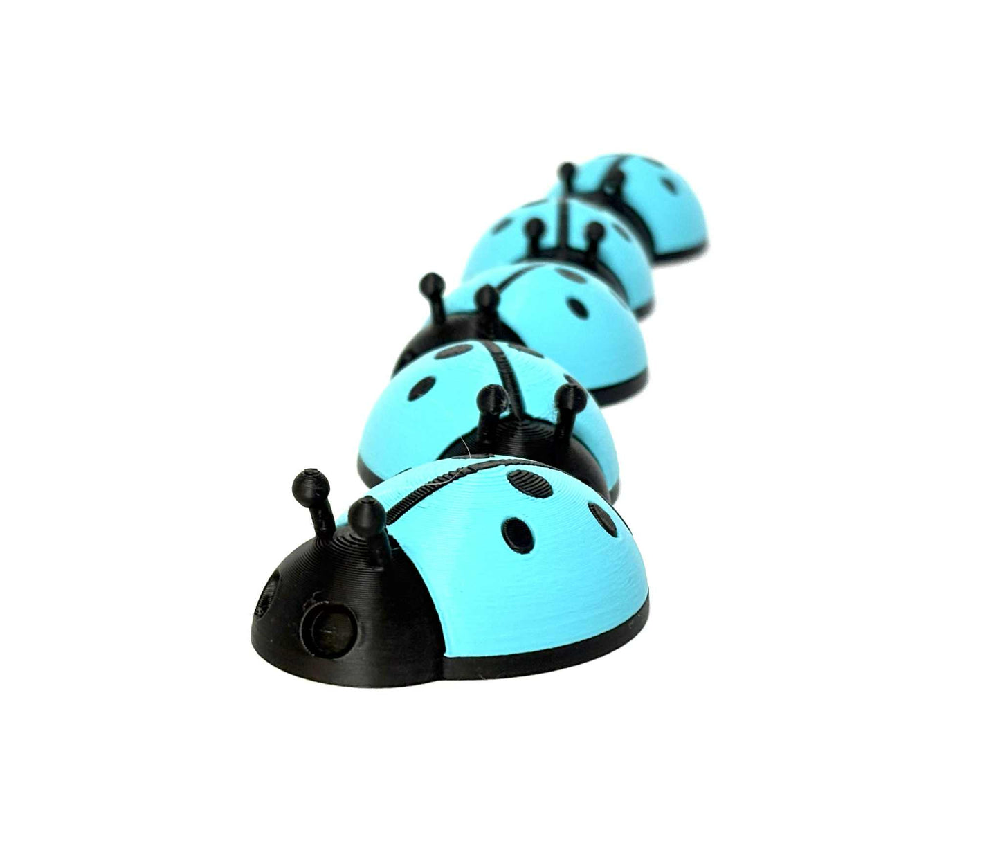 5 Ladybugs for bugging