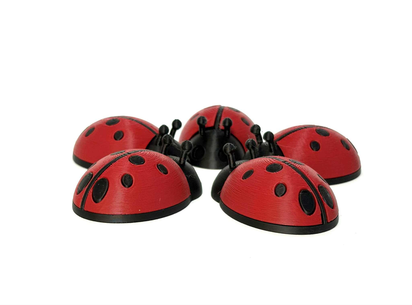 5 Ladybugs for bugging