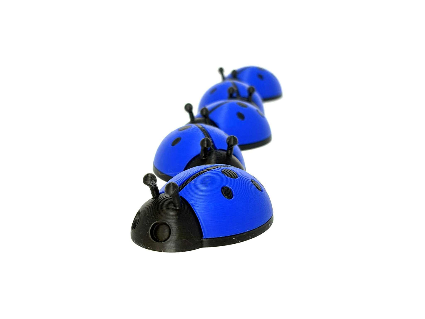 5 Ladybugs for bugging