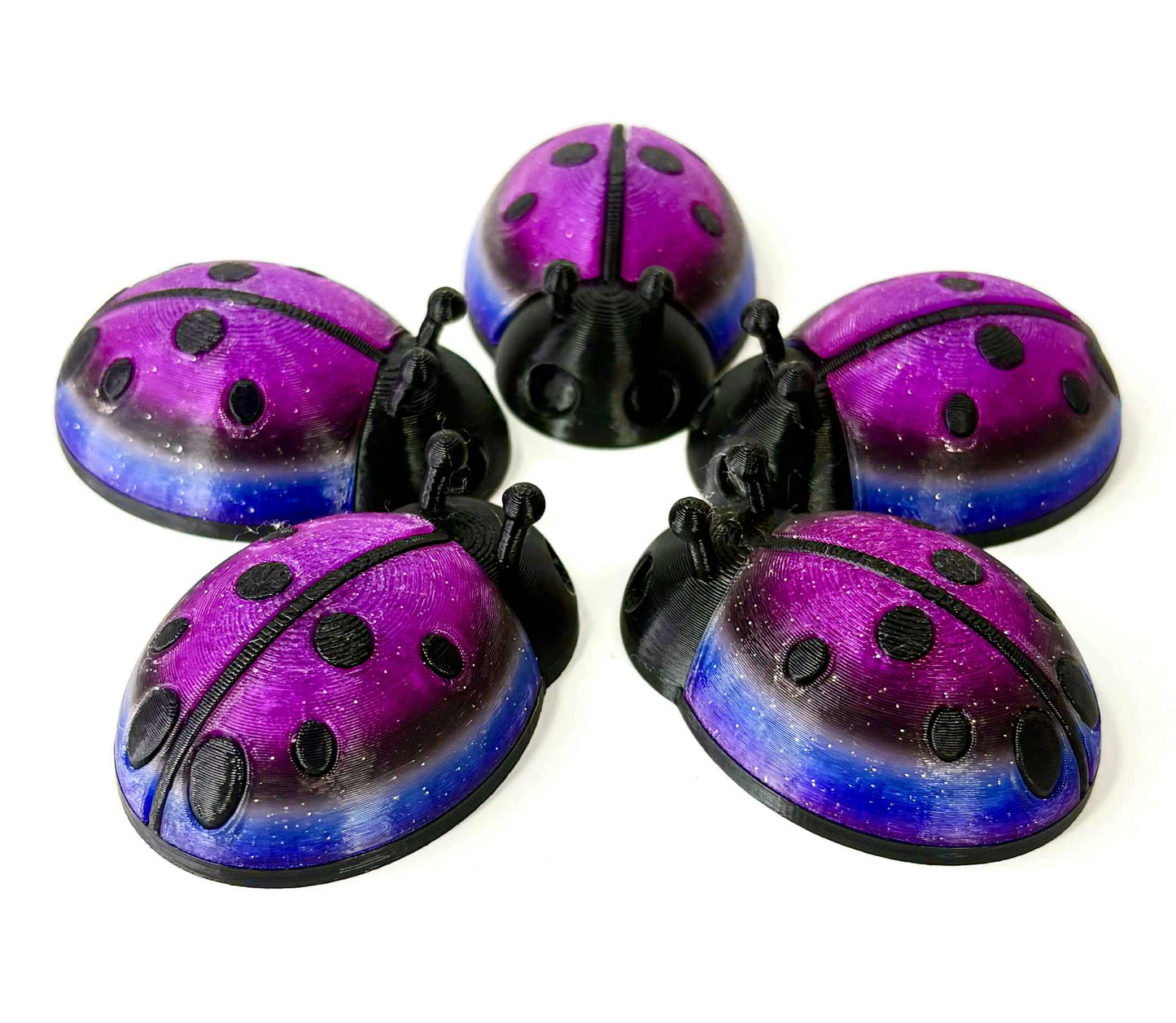 5 unique ladybugs for bugging